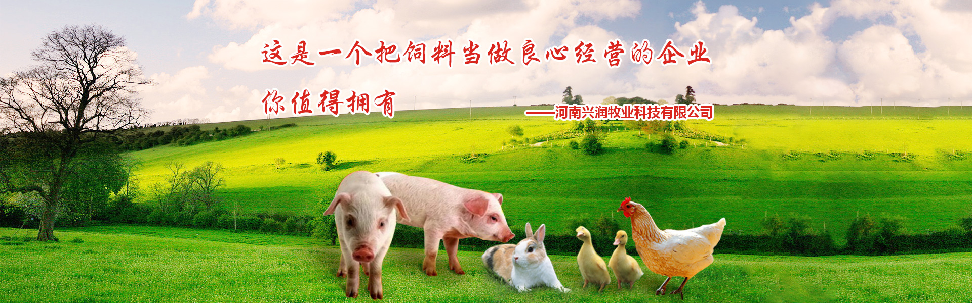 河南豬飼料廠(chǎng)家,豬飼料廠(chǎng)家,河南豬飼料